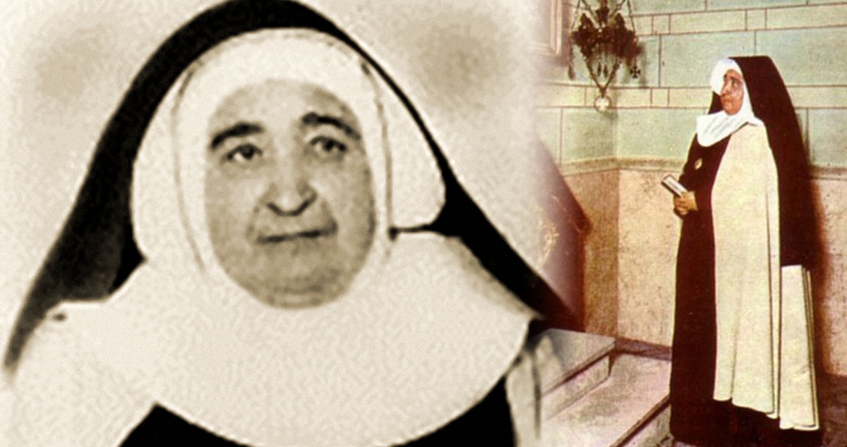 Rosa di San Giuseppe